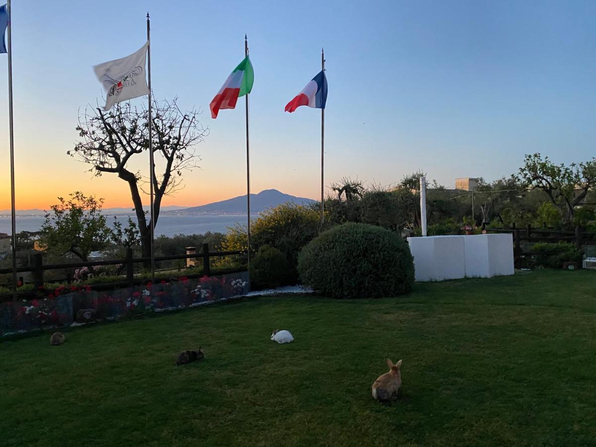Bed and Breakfast Casale Antonietta Sorrento Esterno foto