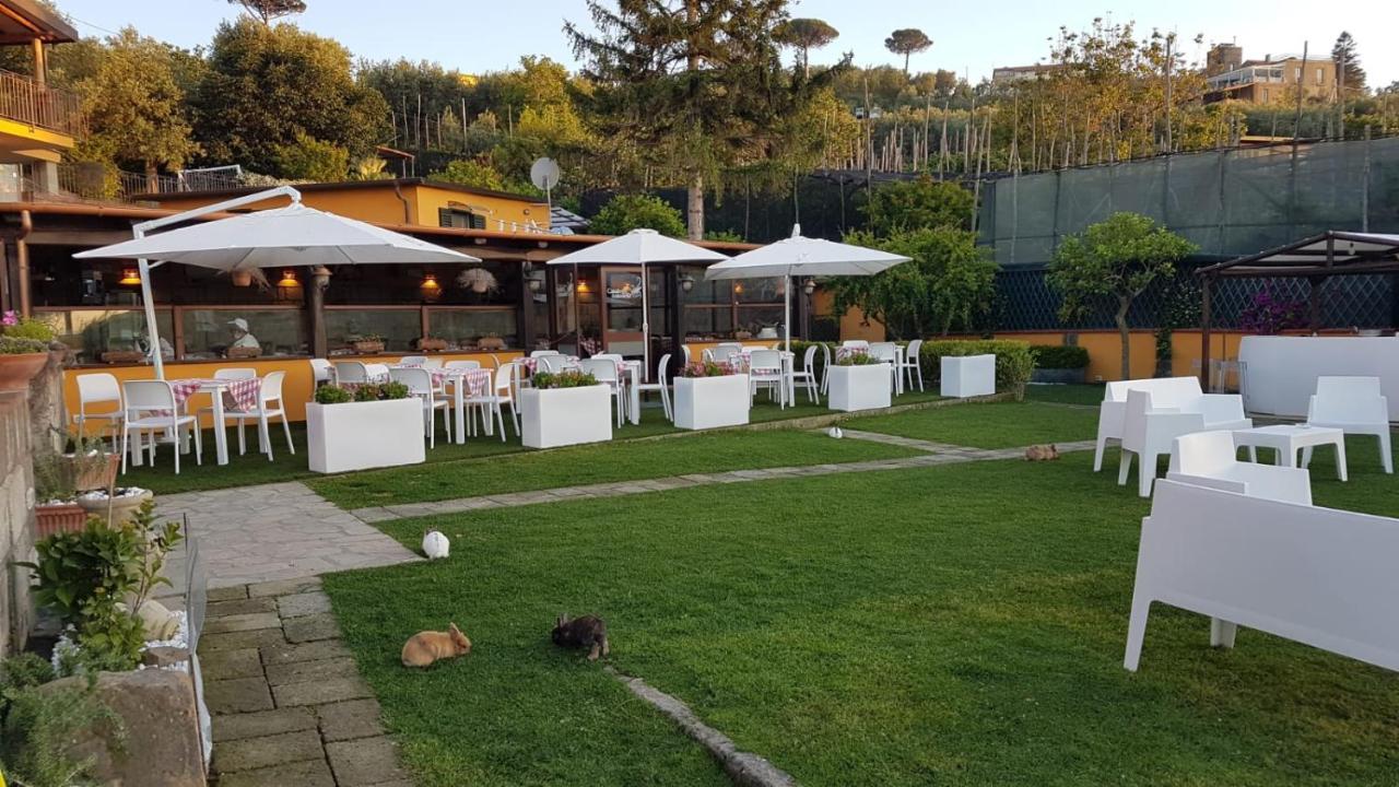 Bed and Breakfast Casale Antonietta Sorrento Esterno foto