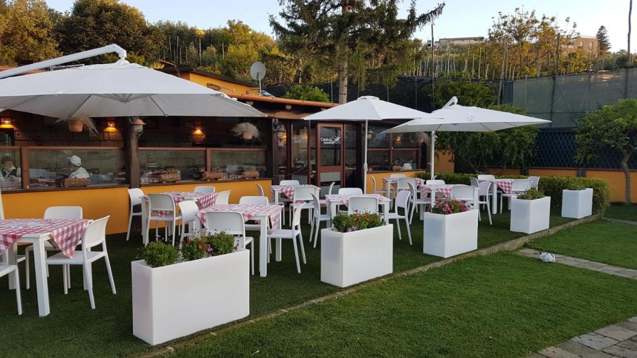 Bed and Breakfast Casale Antonietta Sorrento Esterno foto